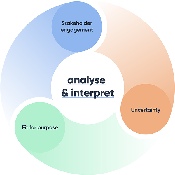Circle: analyse and interpret results in centre. Three surrounding circles: “Stakeholder engagement- requirements, criticality, constraints, communications, cultural sensitivities”, “Uncertainty- inherent in method -data and assumptions – risks -errors” and “Fit for purpose- correct analysis/methodology -analysis done correctly”.